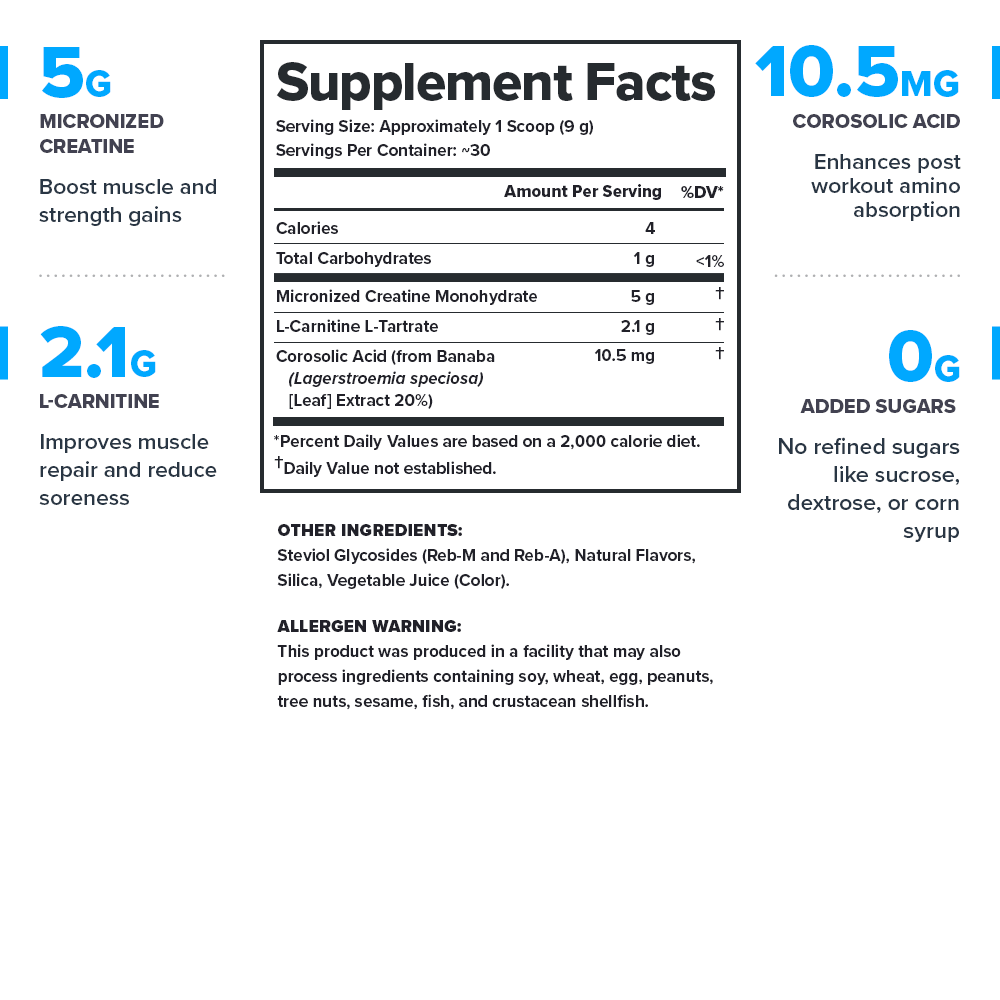 LEGION RECHARGE Post-Workout Supplement – Watermelon Flavor | Includes Creatine for Muscle Recovery, Strength & Endurance