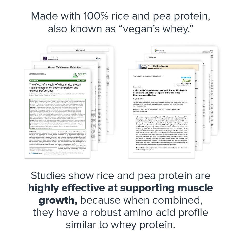 Legion Plant+ Vegan Plant Based Protein Powder – 20 Servings | Clean, Natural Protein