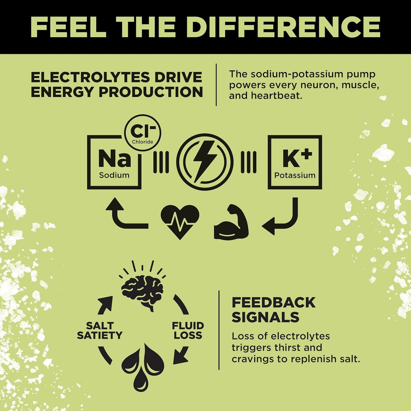 LMNT Zero-Sugar Electrolyte Drink Mix – Hydration Support Powder