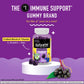 Airborne Immune Support Gummies – Vitamin C & Zinc Multivitamin (50ct Elderberry)